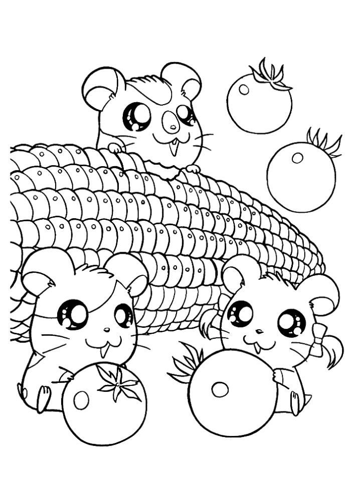 cute little hamster coloring pages Coloring4free