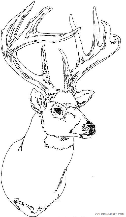 deer coloring pages deer head Coloring4free