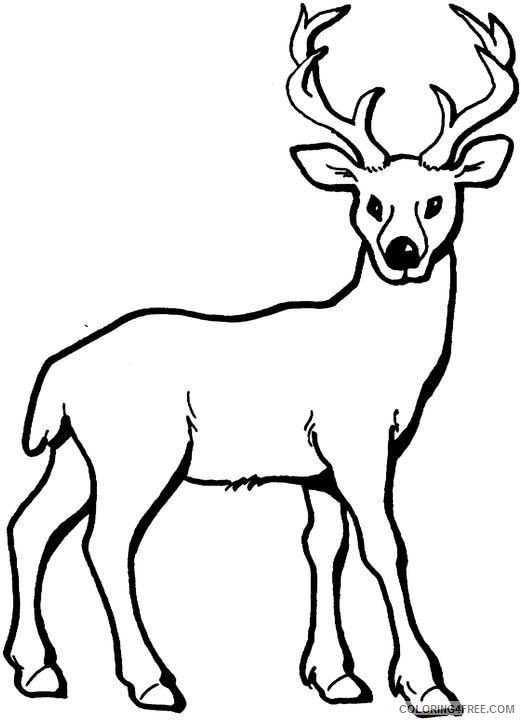 deer coloring pages for kids Coloring4free