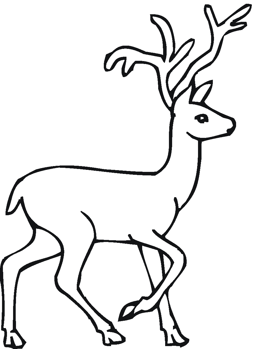 deer coloring pages for toddler Coloring4free