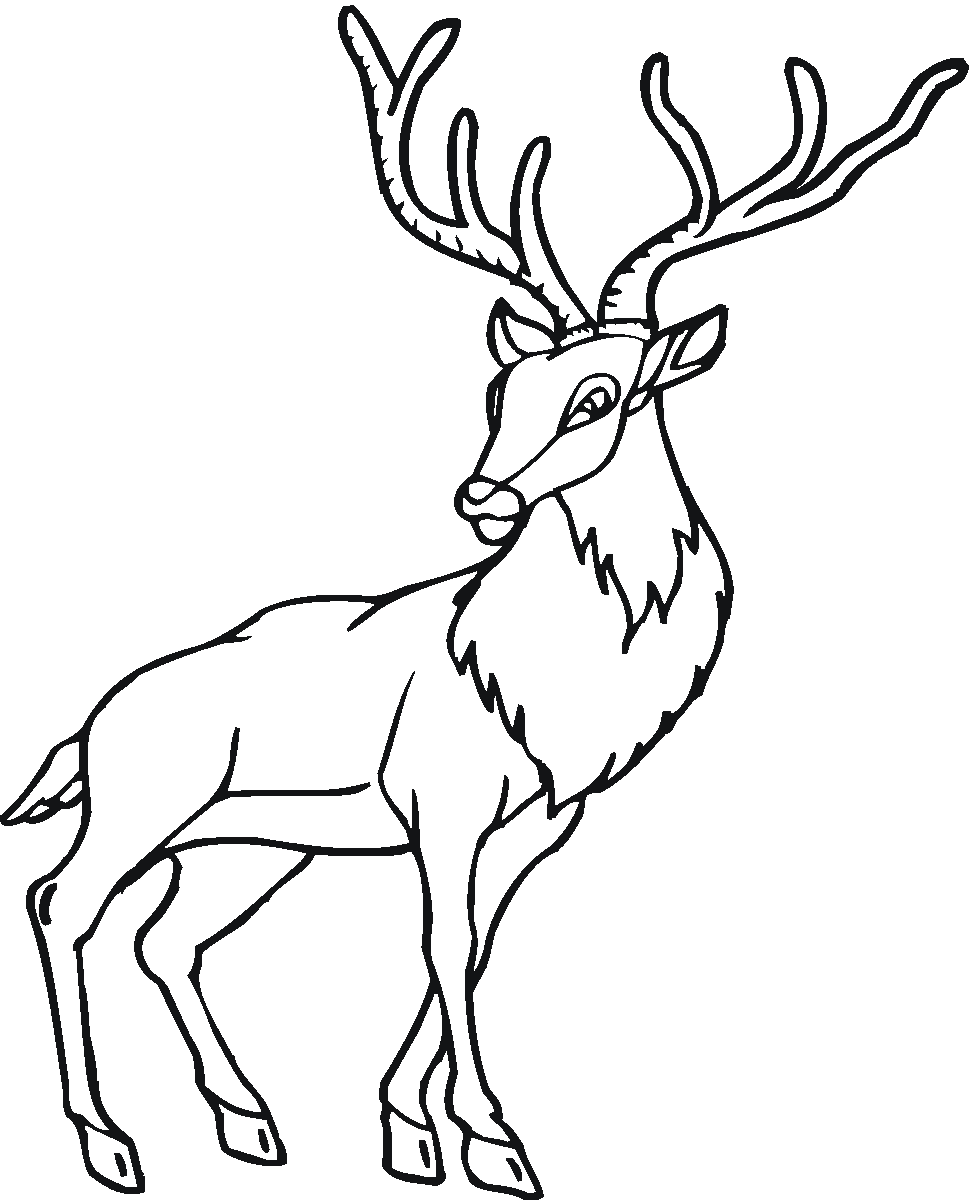 deer coloring pages with horn Coloring4free