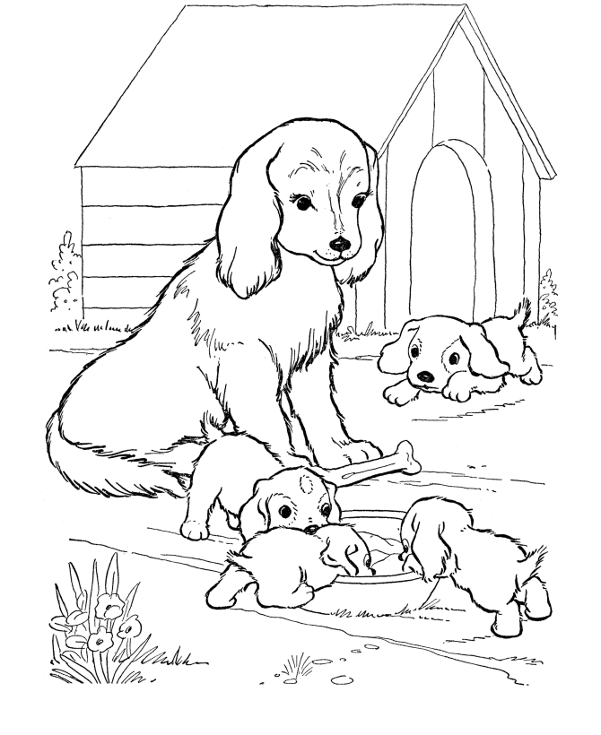 dog and puppies coloring pages Coloring4free