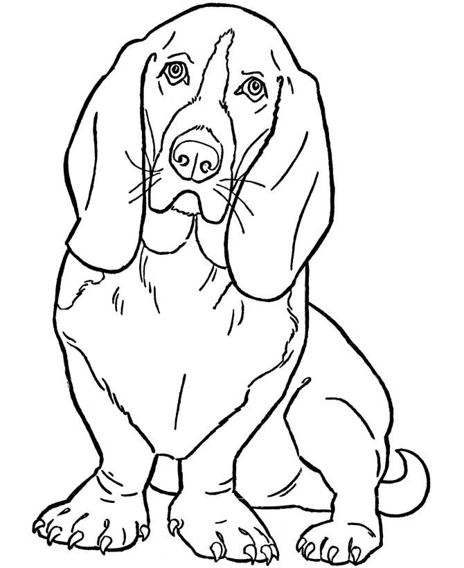 dog coloring pages beagle Coloring4free