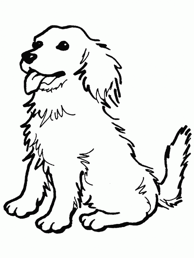 dog coloring pages golden retriever puppy Coloring4free