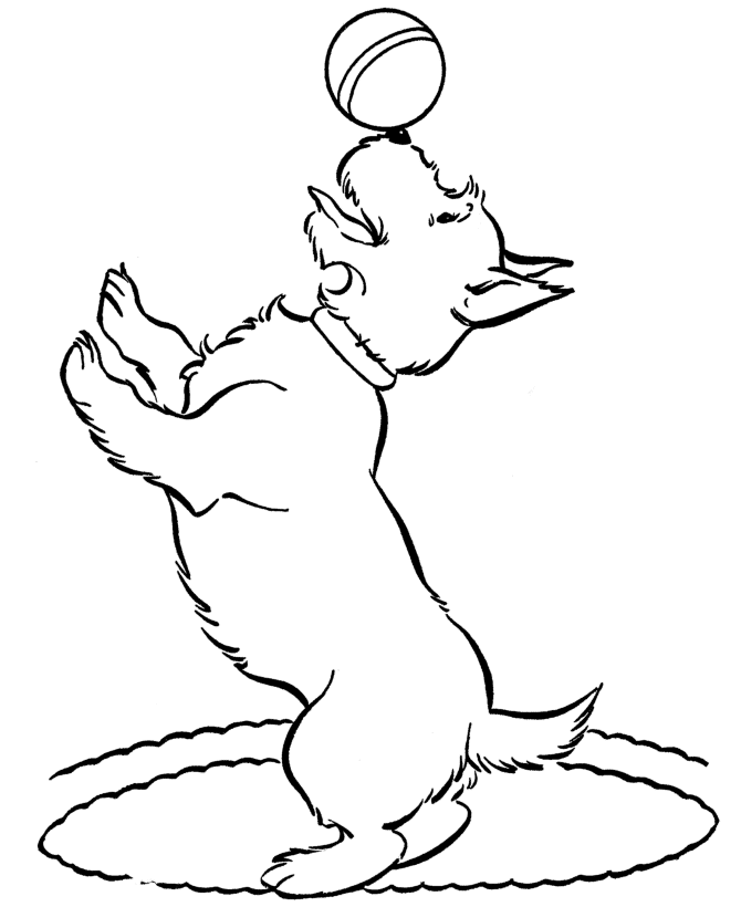 dog coloring pages playing a ball Coloring4free