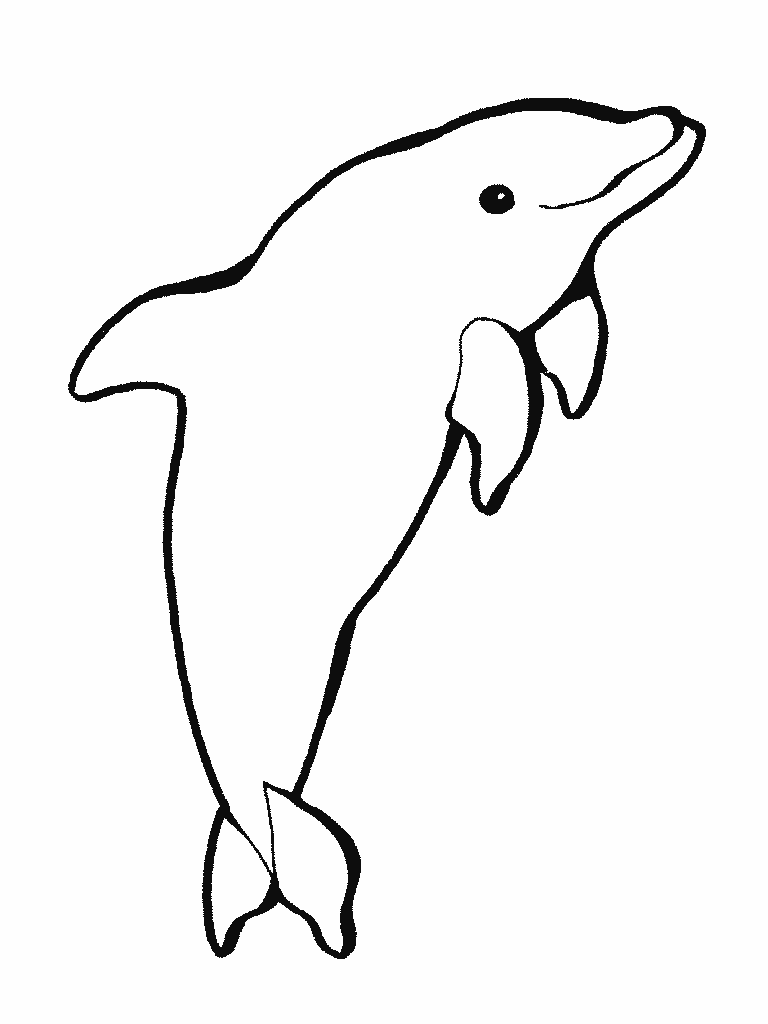 dolphin coloring pages to print Coloring4free