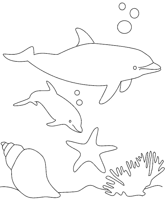 dolphin coloring pages underwater Coloring4free