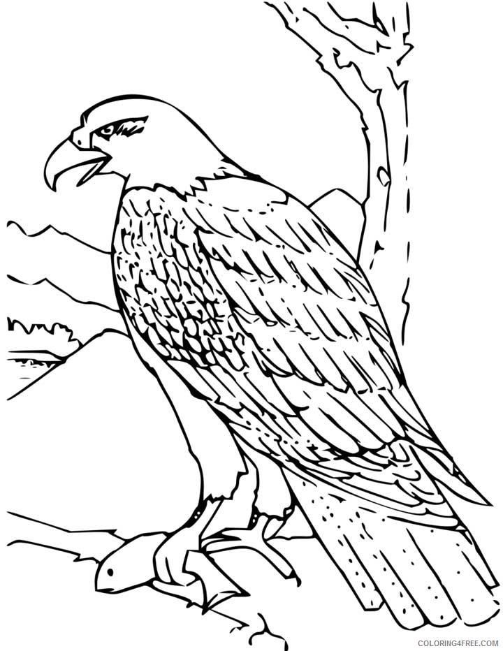 eagle coloring pages catching fish Coloring4free