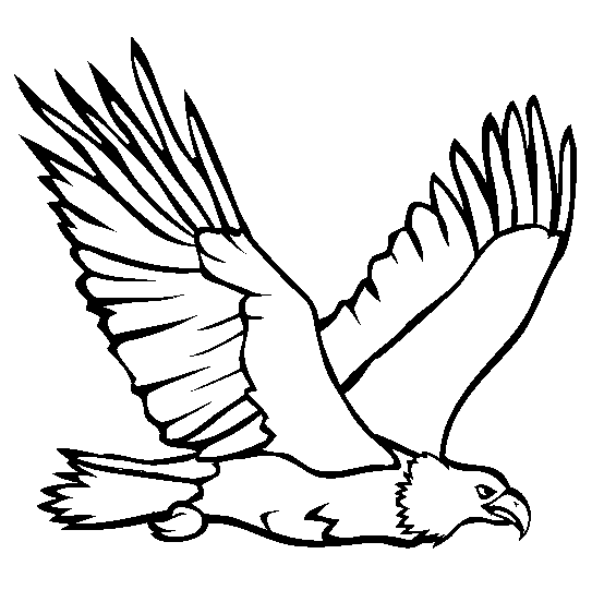 eagle coloring pages flying Coloring4free