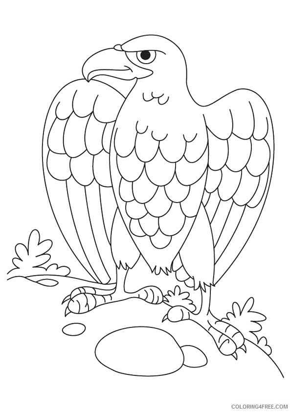 eagle coloring pages for kindergarten Coloring4free