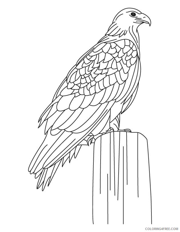 eagle coloring pages to print Coloring4free