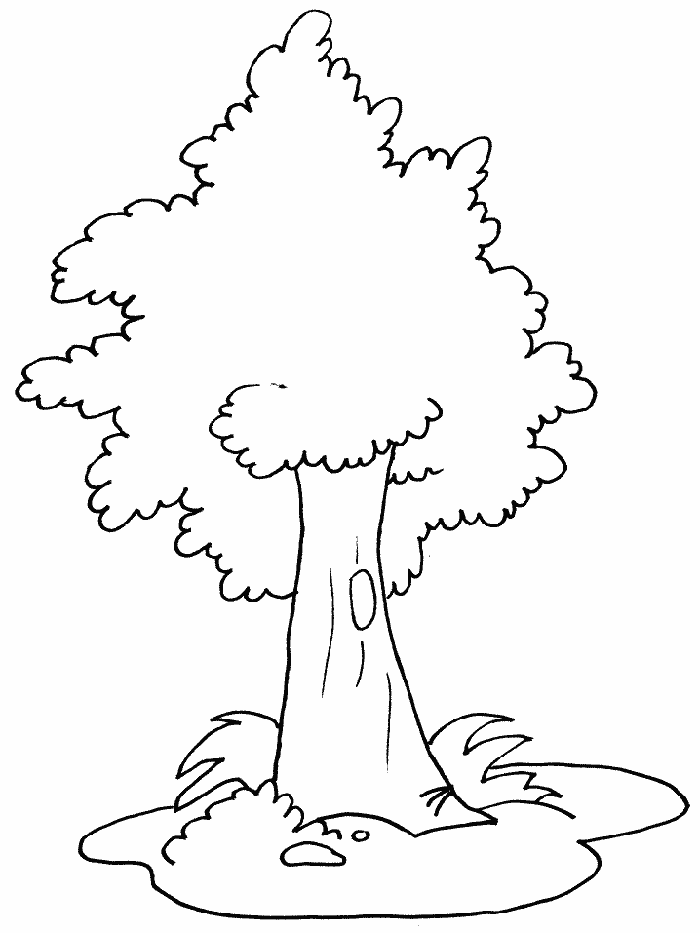 easy tree coloring pages for kids Coloring4free