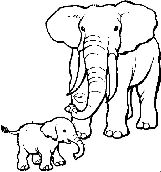 elephant coloring pages baby and mom Coloring4free