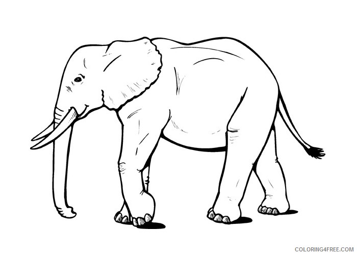 elephant coloring pages free to print Coloring4free