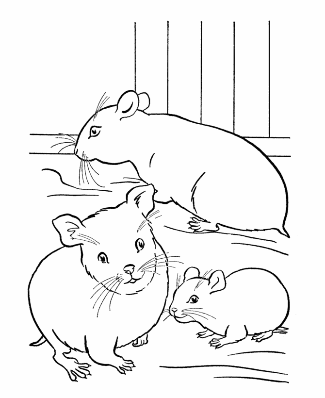 family hamster coloring pages Coloring4free