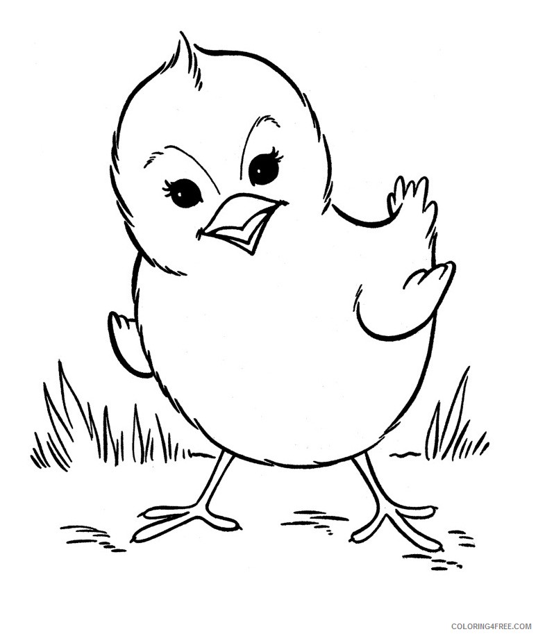 farm animal coloring pages chick Coloring4free