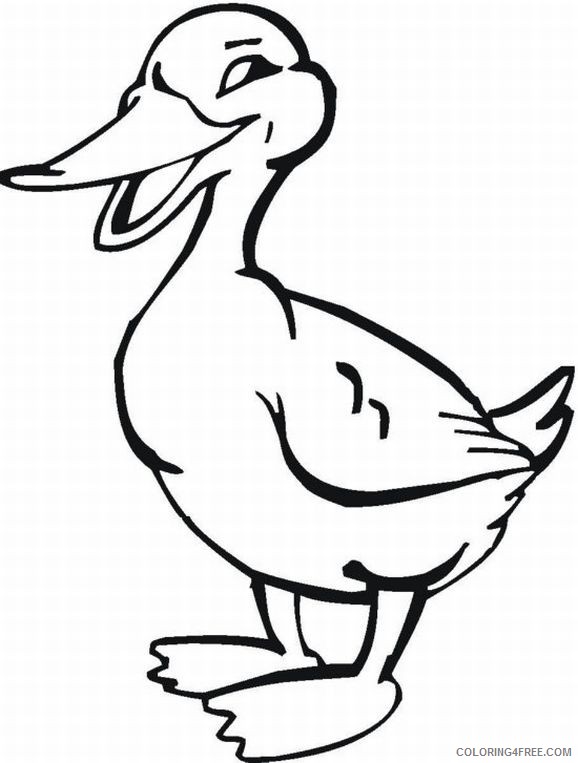 farm animal coloring pages duck Coloring4free