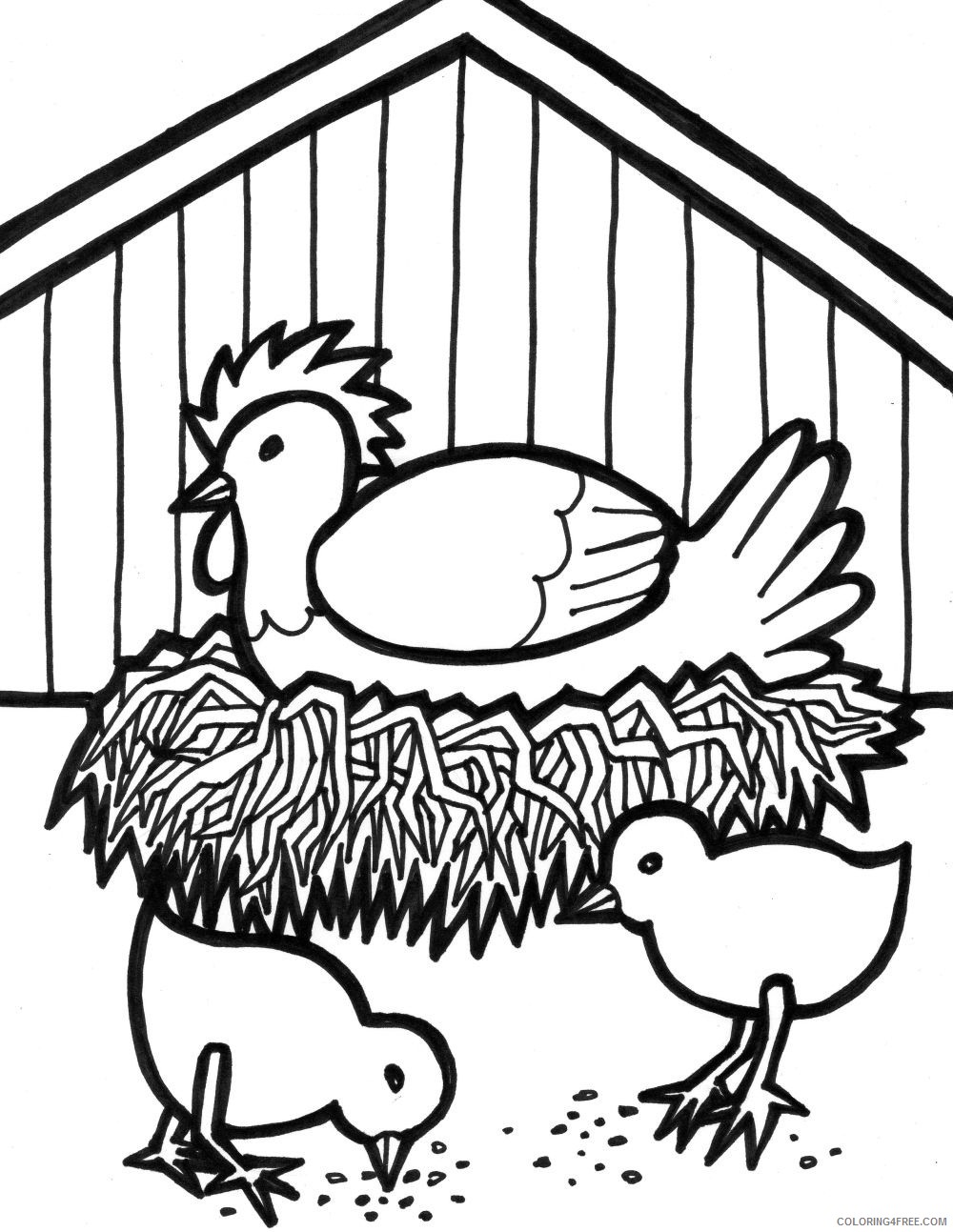 farm animal coloring pages hen and chicks Coloring4free