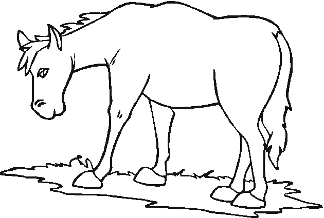 farm animal coloring pages horse Coloring4free