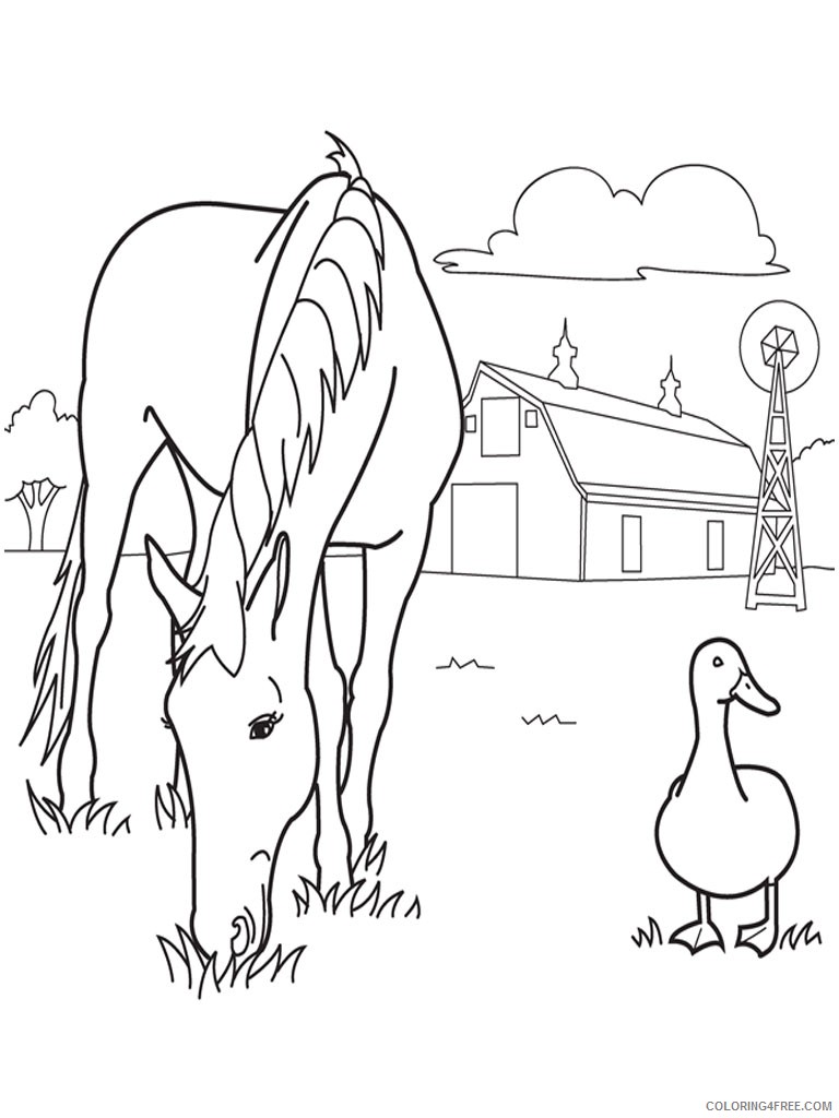 farm animal coloring pages horse and duck Coloring4free