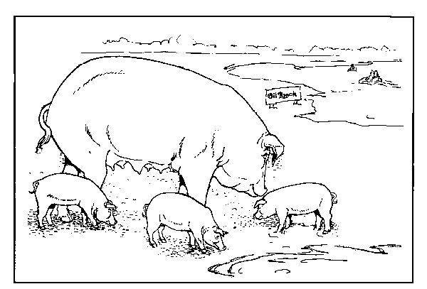 farm animal coloring pages pigs Coloring4free