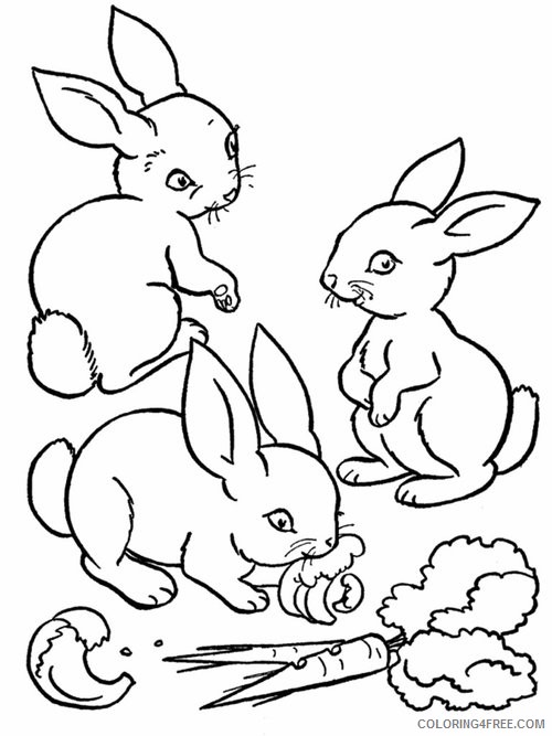 farm animal coloring pages rabbits Coloring4free