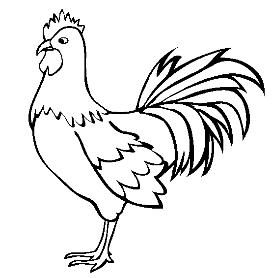 farm animal coloring pages rooster Coloring4free