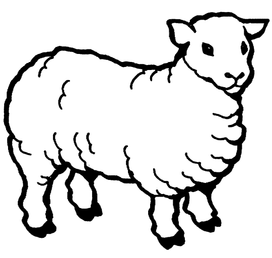 farm animal coloring pages sheep Coloring4free
