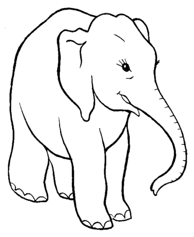 female elephant coloring pages Coloring4free