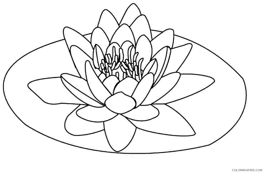 floating lotus flower coloring pages Coloring4free