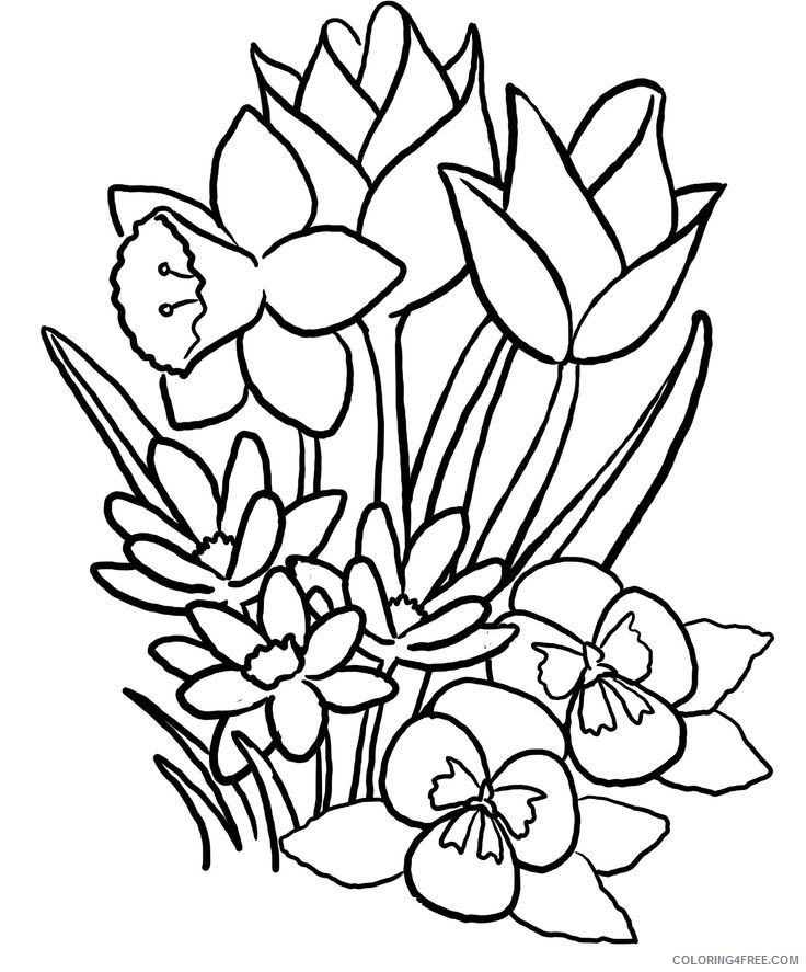 flower coloring pages for girls Coloring4free