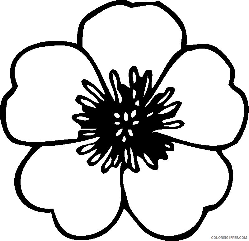 flower petals coloring pages for kids Coloring4free