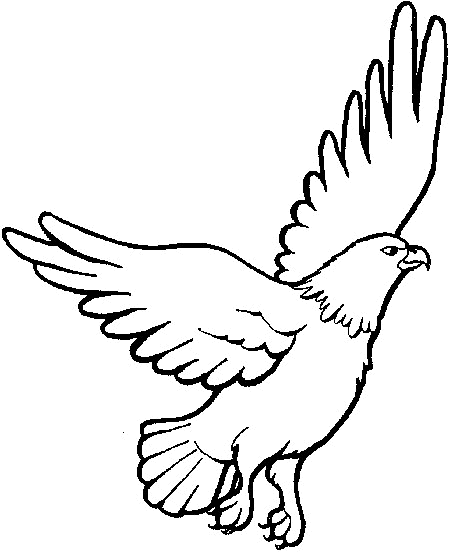 flying eagle coloring pages Coloring4free