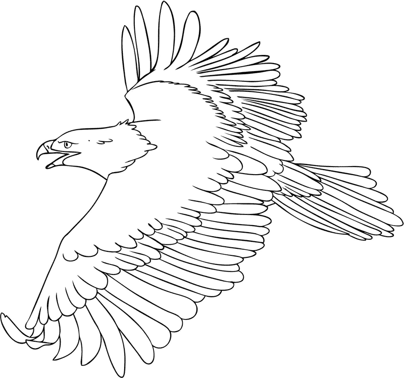 flying eagle coloring pages wingspan Coloring4free