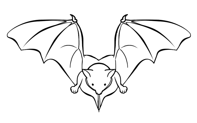 free bat coloring pages for kids Coloring4free