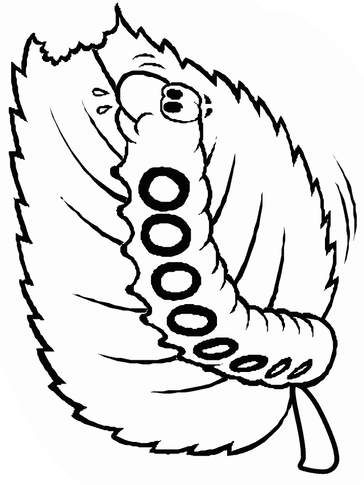 free caterpillar coloring pages for kids Coloring4free
