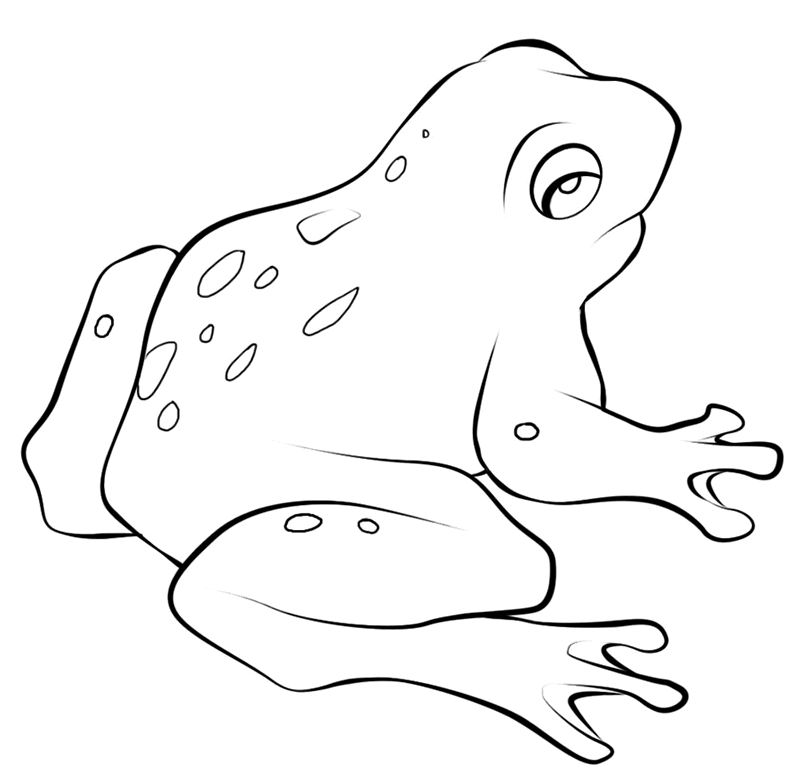free frog coloring pages for kids Coloring4free