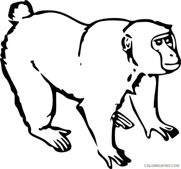 free monkey coloring pages to print Coloring4free