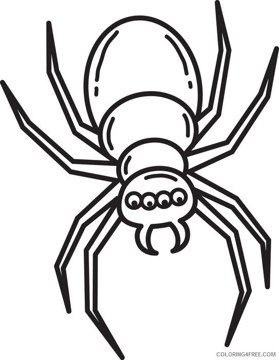 free spider coloring pages for kids Coloring4free