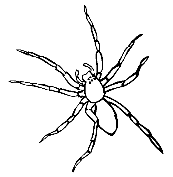 free spider coloring pages to print Coloring4free