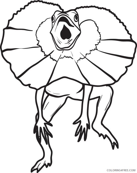 frilled neck lizard coloring pages Coloring4free