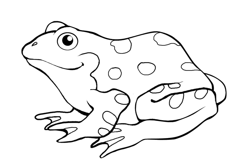 frog coloring pages printable Coloring4free