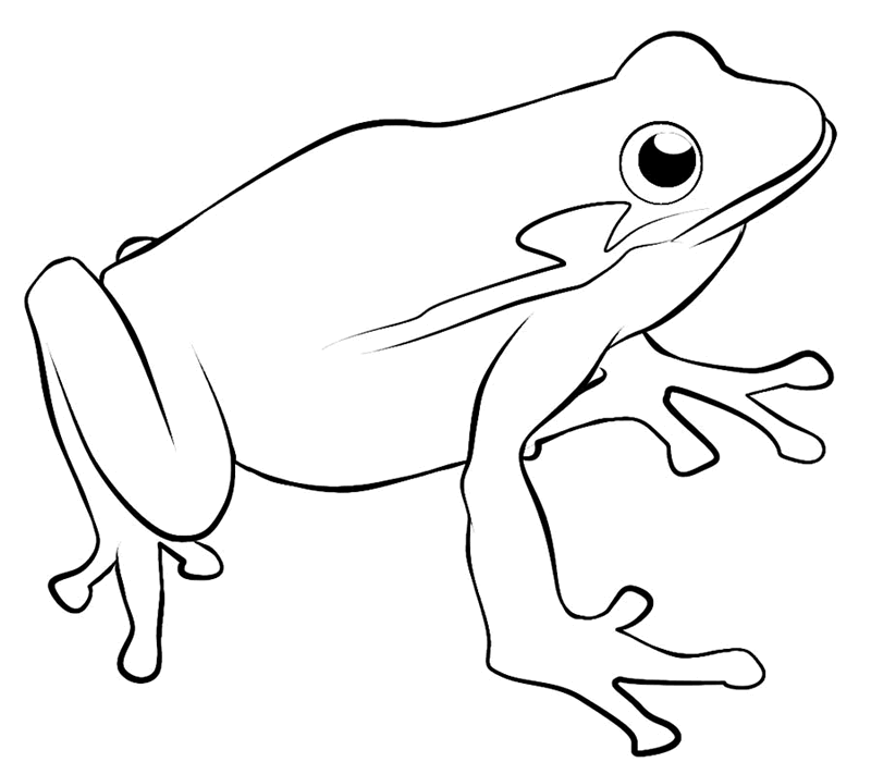 frog coloring pages to print Coloring4free