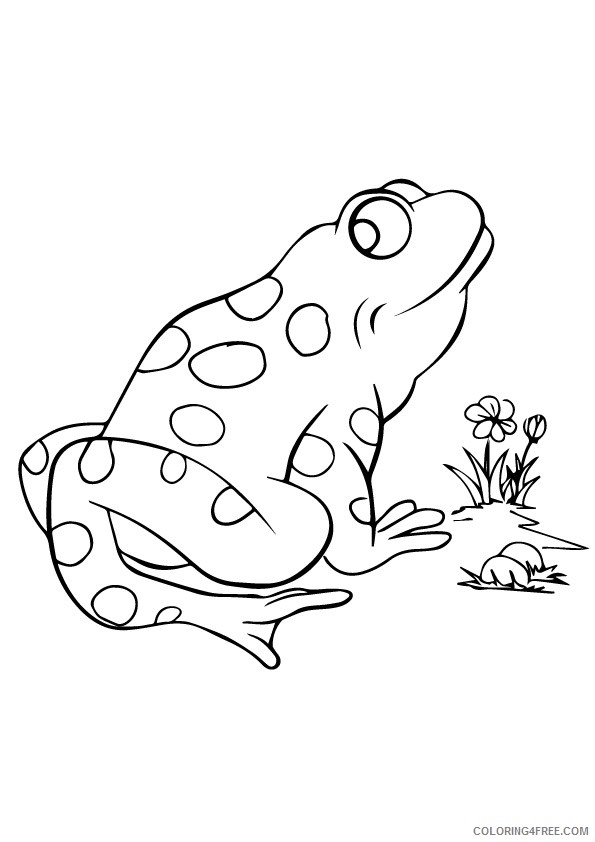 giant frog coloring pages Coloring4free