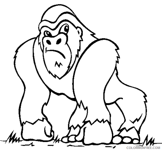 gorilla monkey coloring pages Coloring4free
