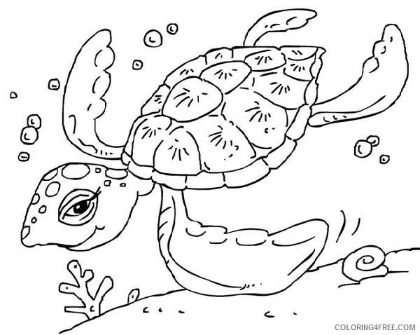 green sea turtle coloring pages Coloring4free