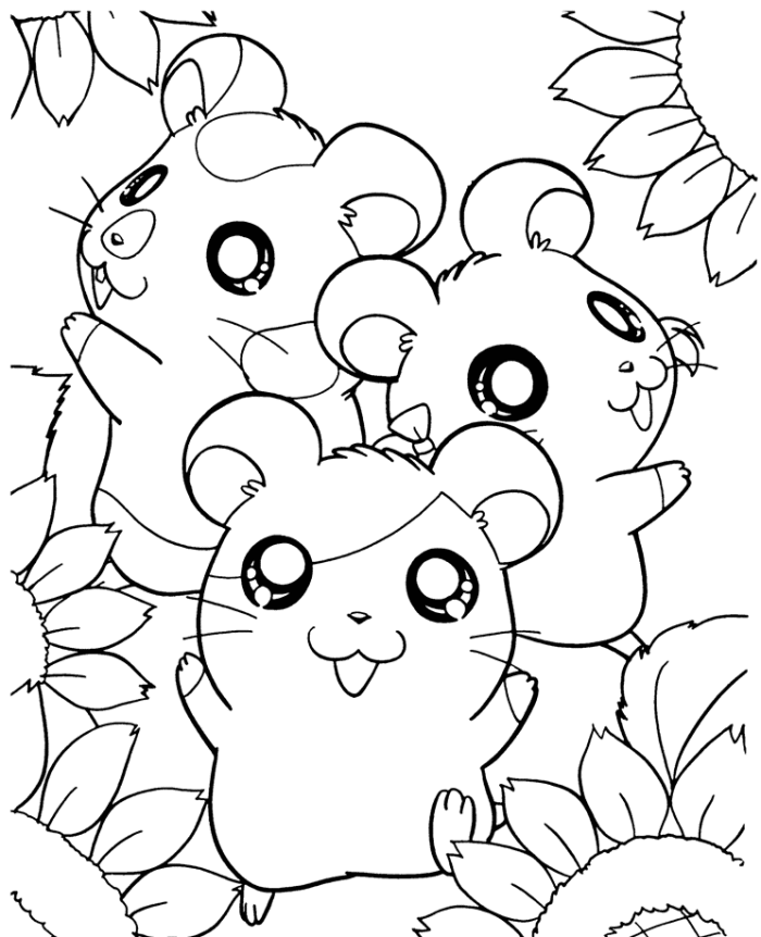 hamster coloring pages cartoon Coloring4free
