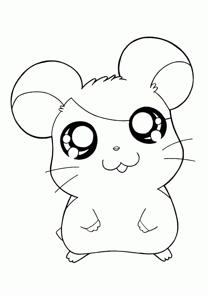hamster coloring pages hamtaro Coloring4free