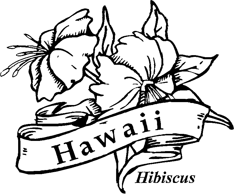 hawaiian hibiscus flower coloring pages Coloring4free