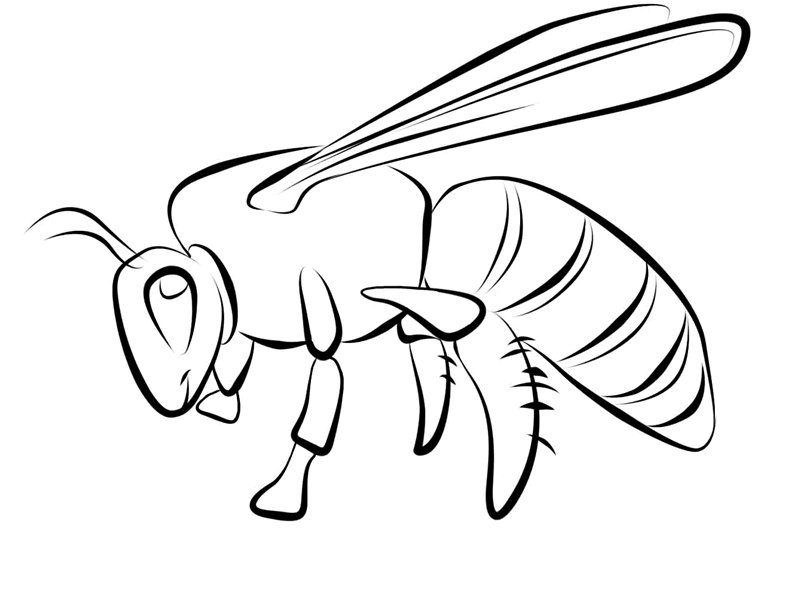 honey bee coloring pages to print Coloring4free